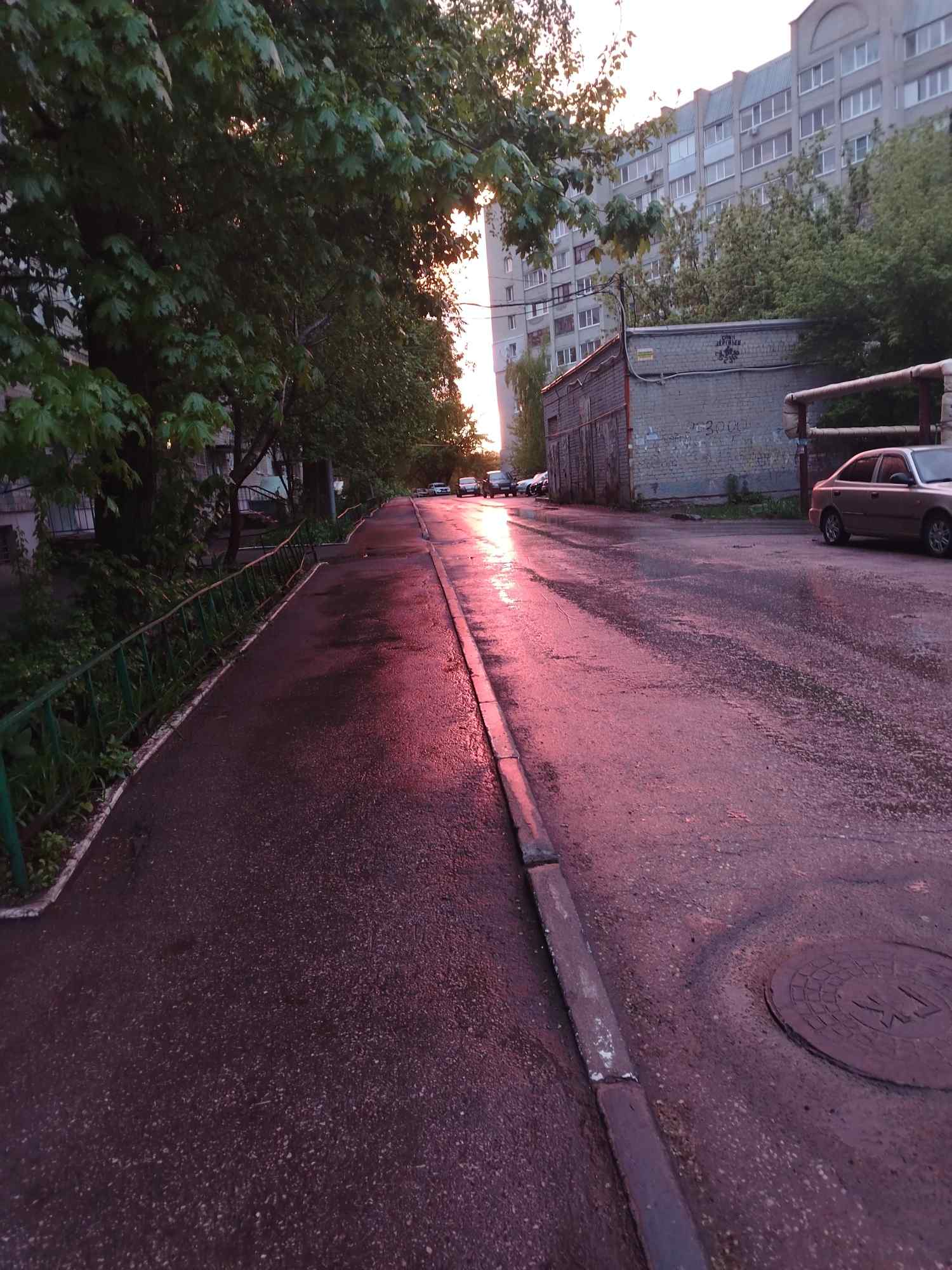 Фотография