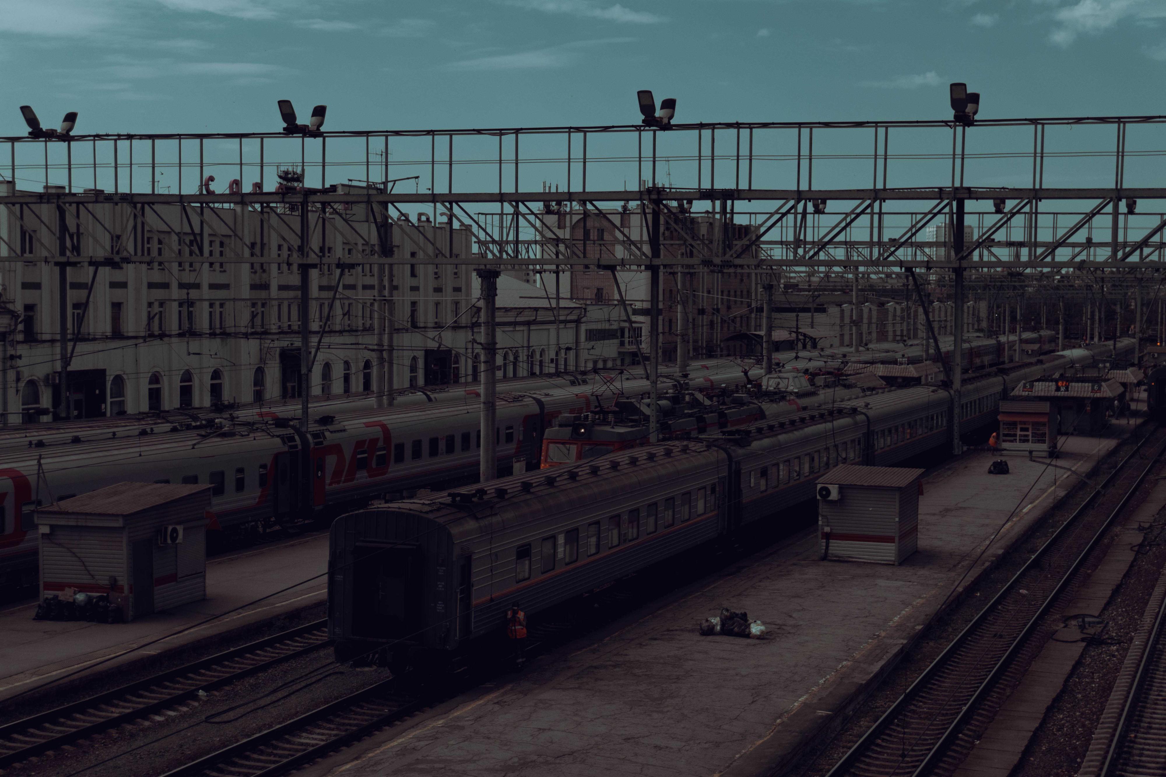 Фотография