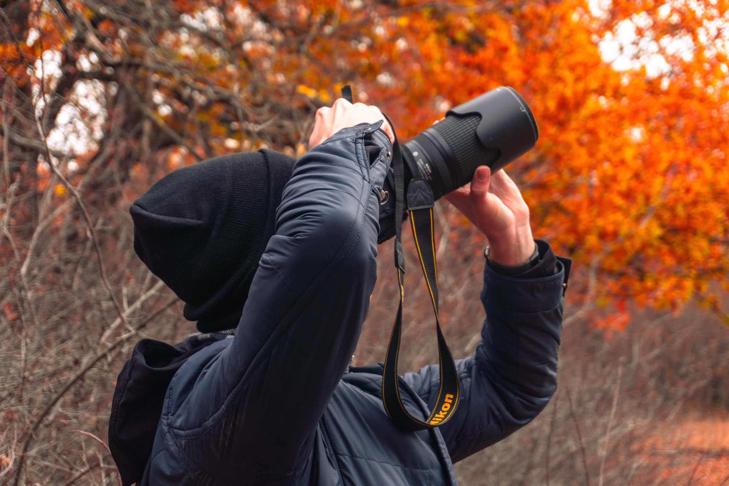 Фотография
