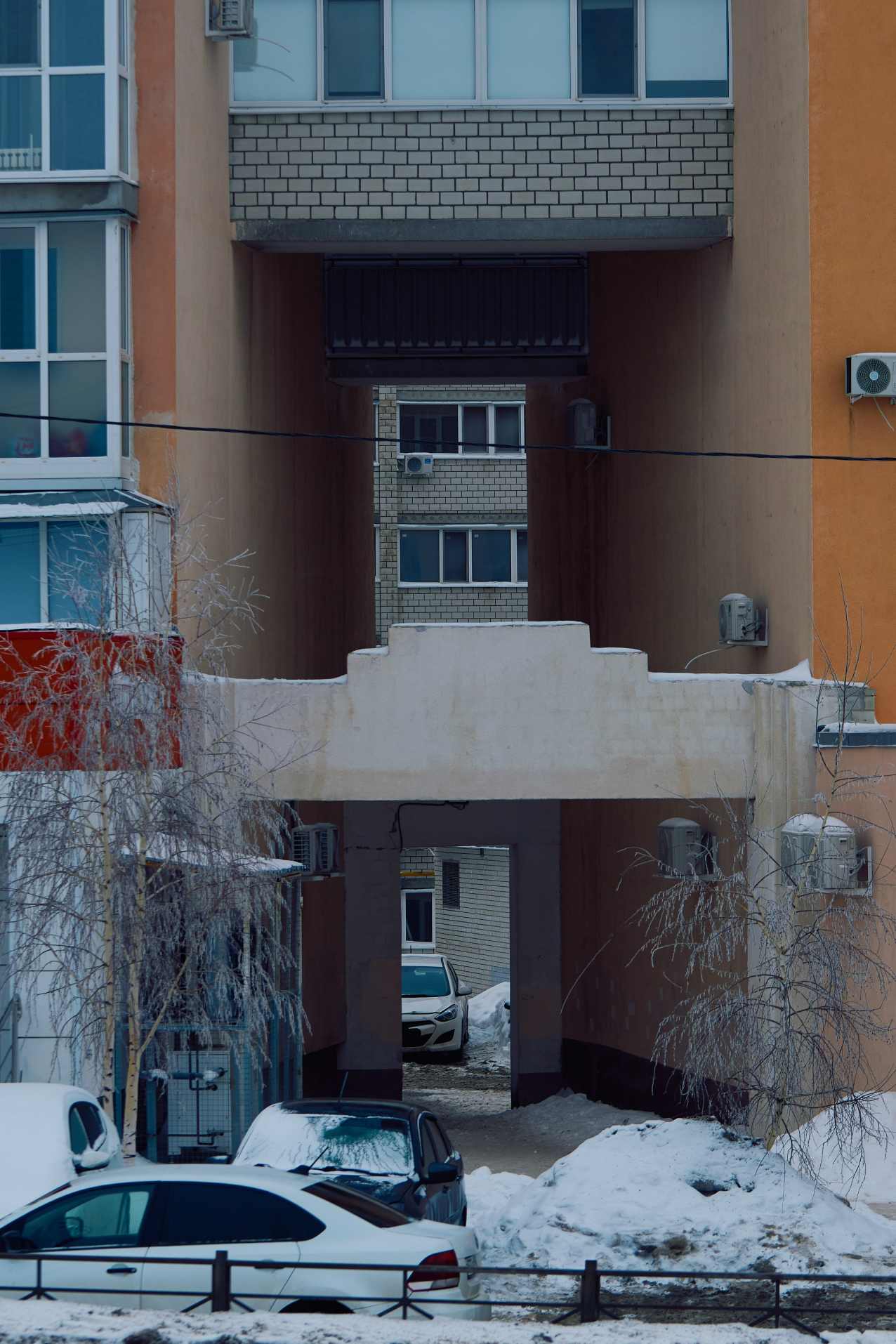 Фотография