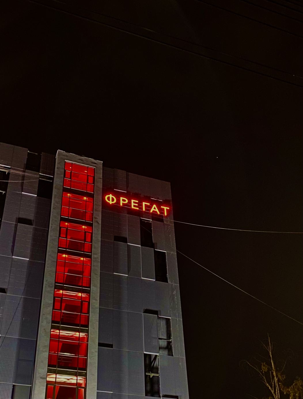 Фотография