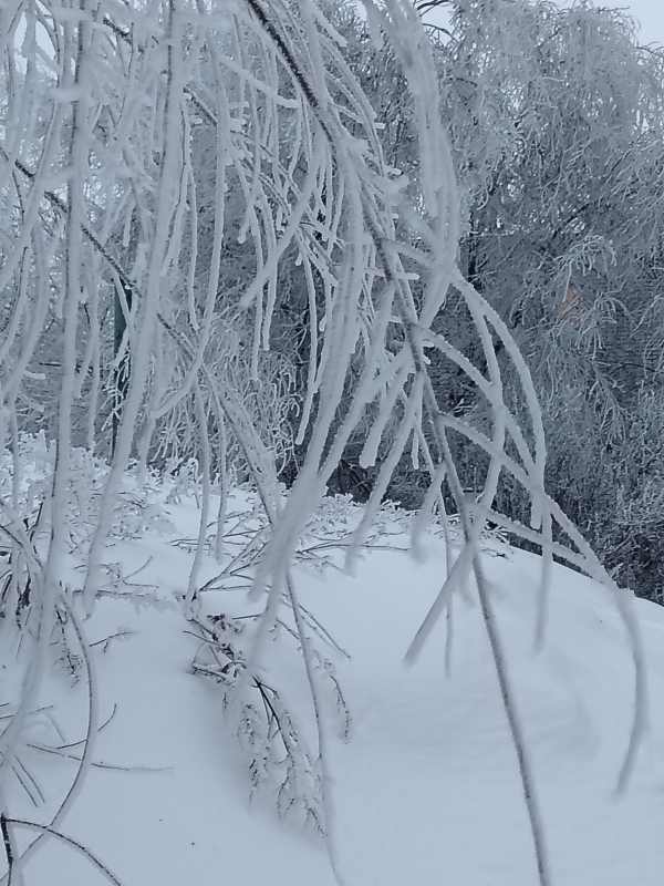 Фото пользователя
