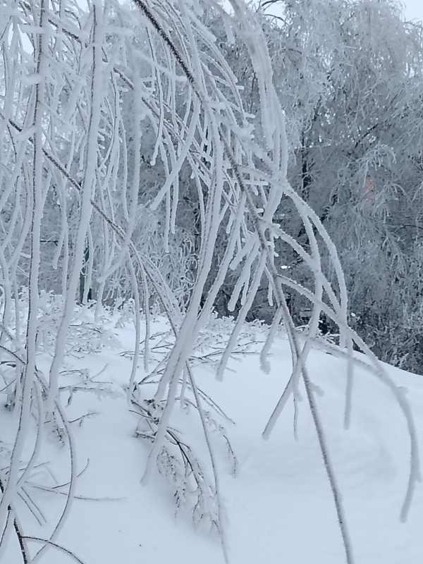 Фото пользователя