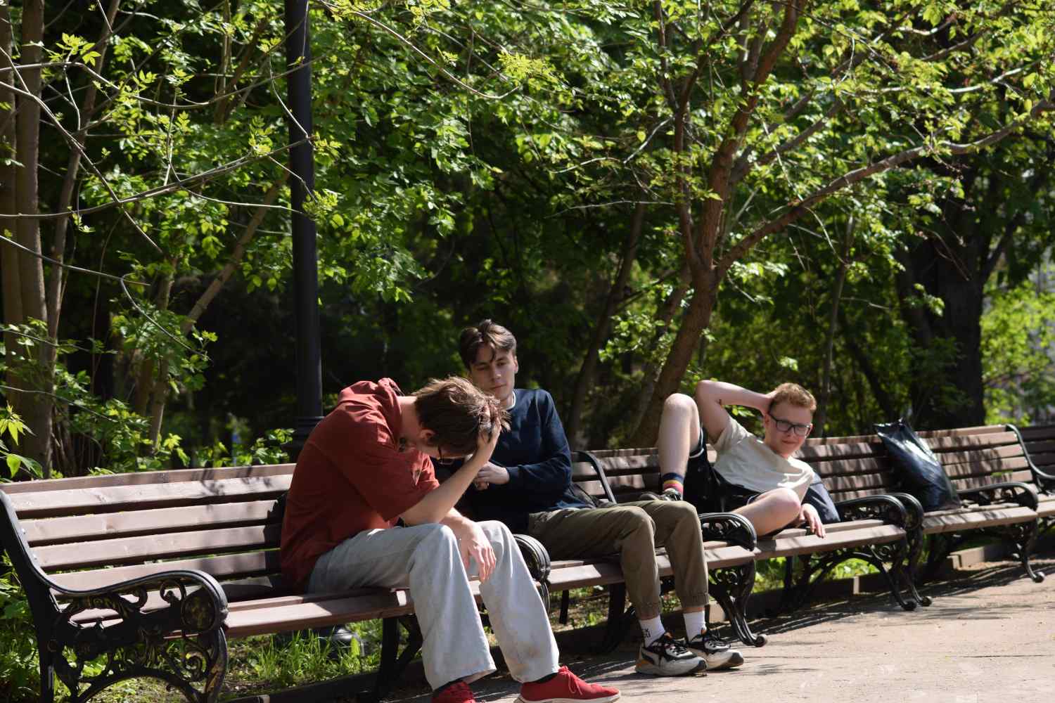 1000021363_1745686300_5f71cb1a22.jpg
