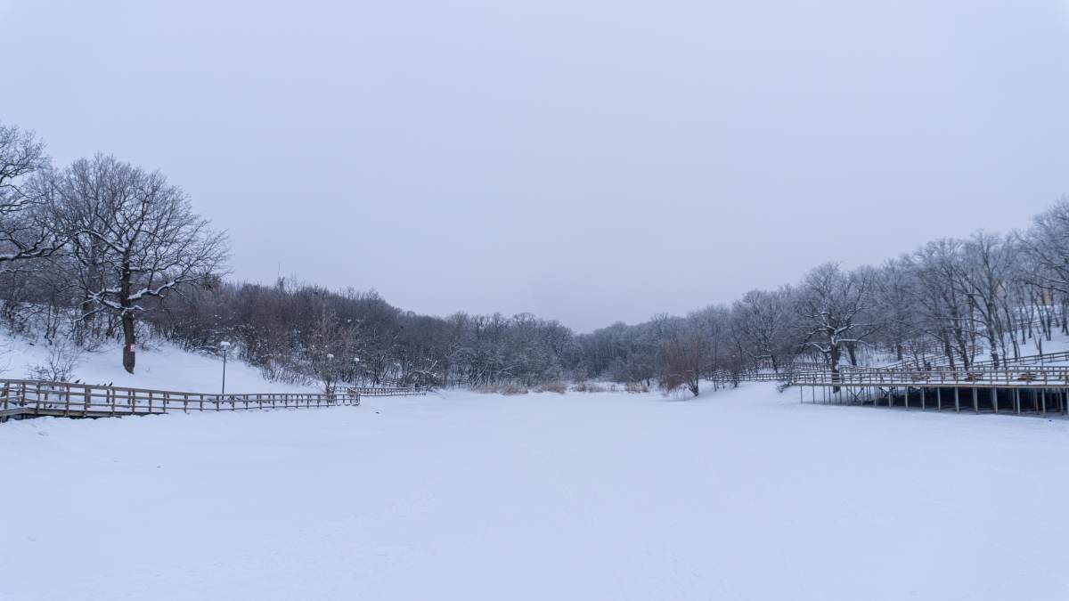 DSC00695_1769974443_ce91f36286.jpg