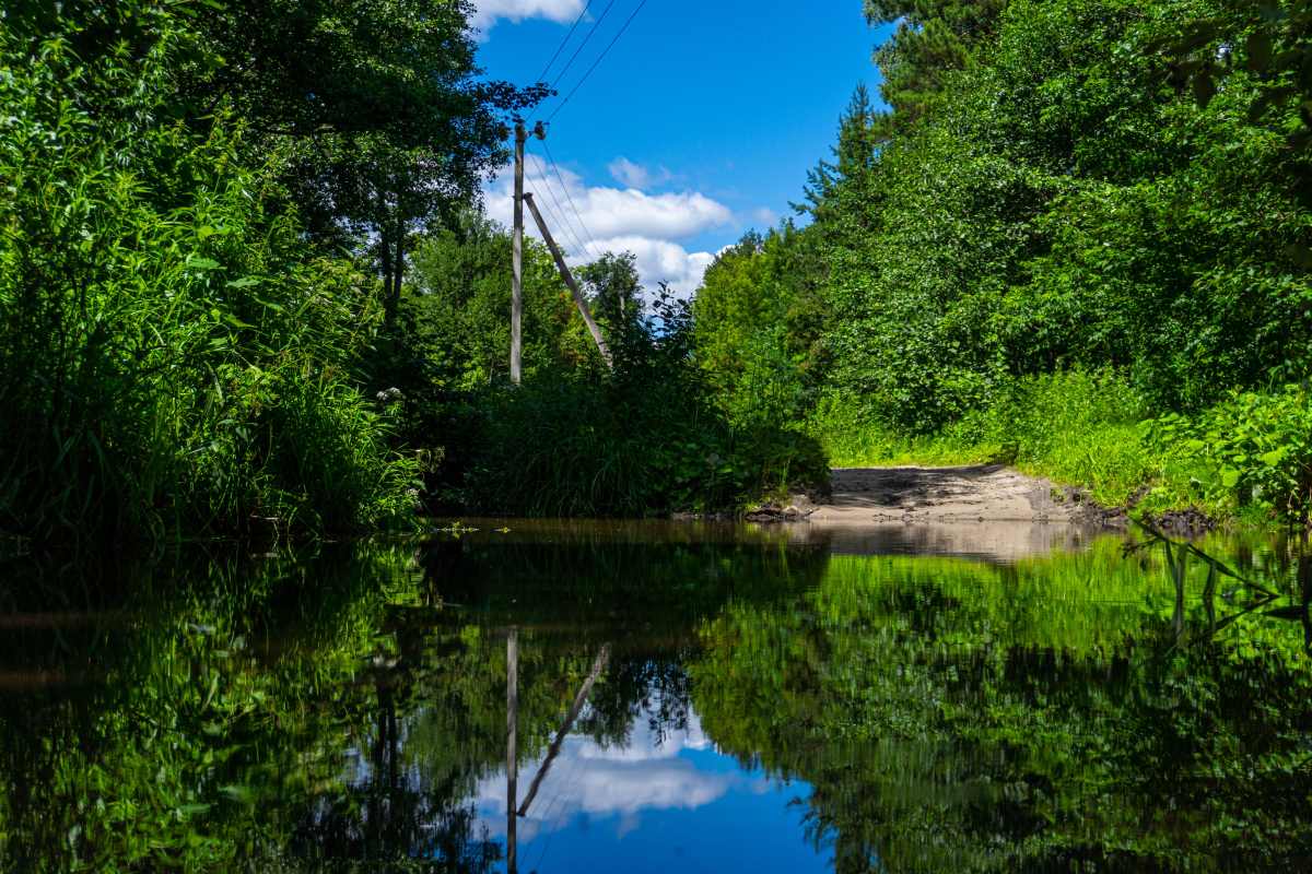 DSC01590_1782637487_92b981bbe5.jpg