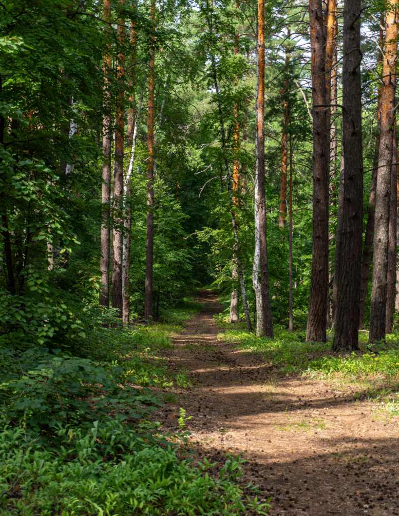 Фото пользователя