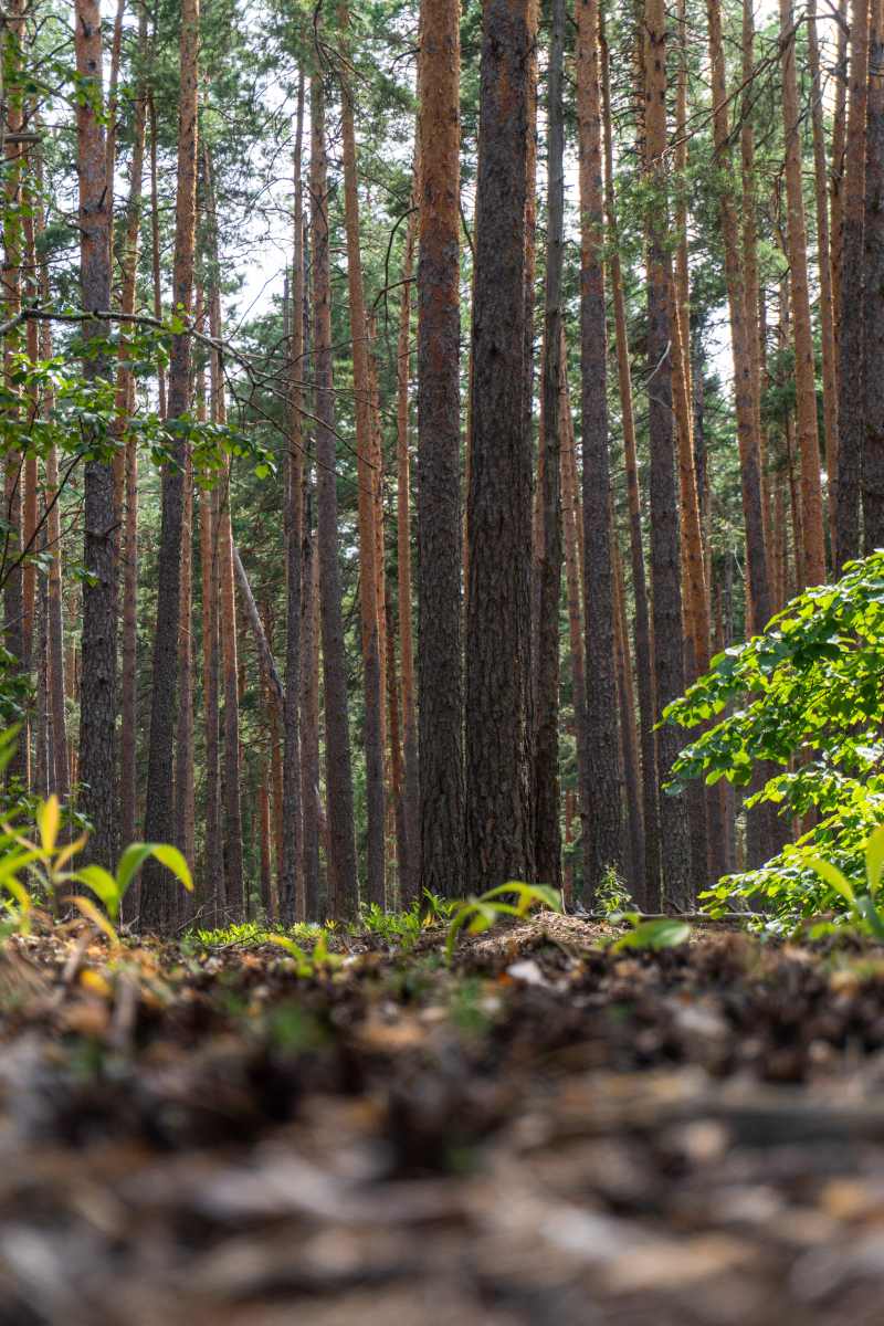 Фото пользователя