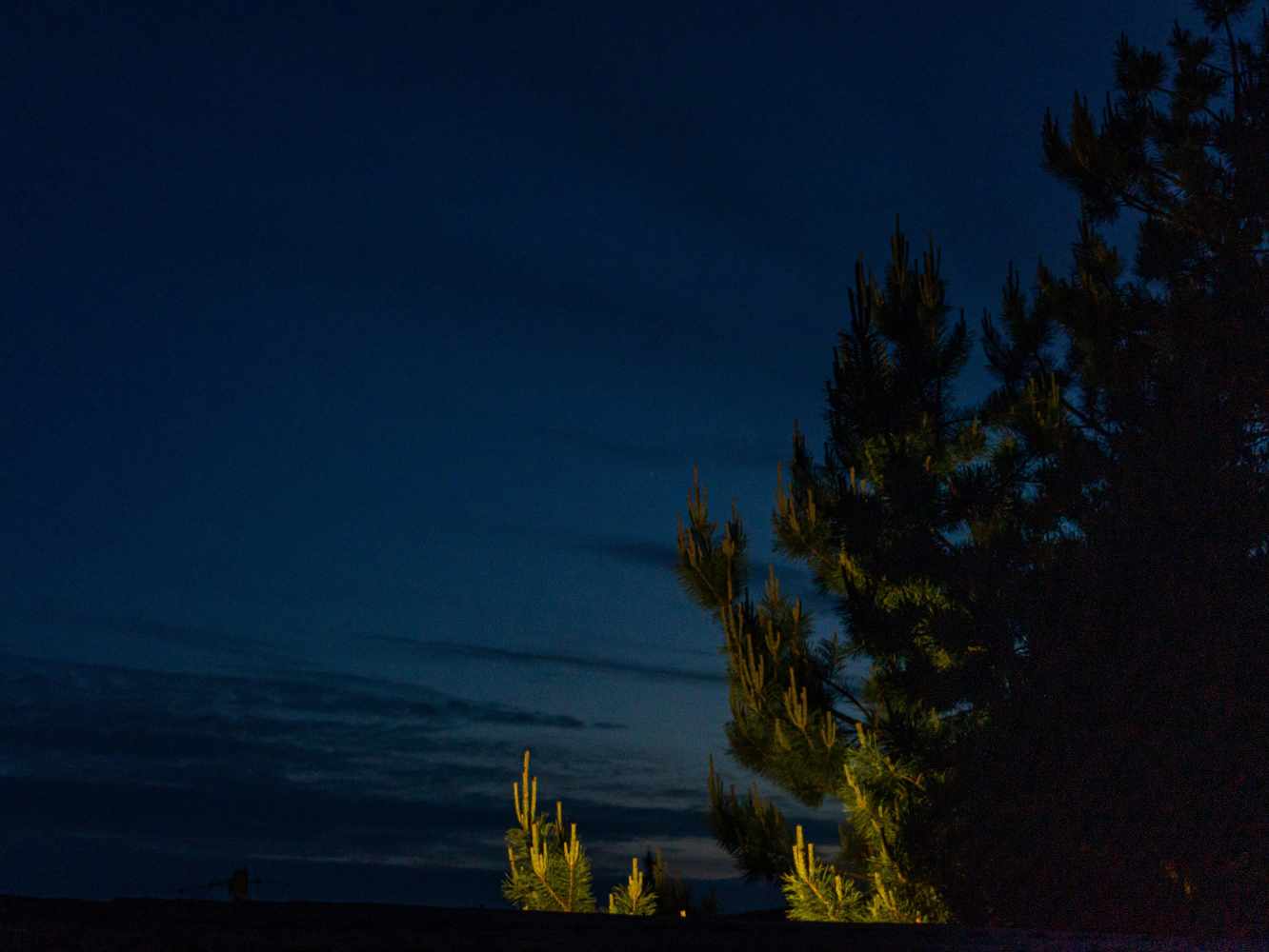 DSC07194_1747605654_b5641dceb4.jpg