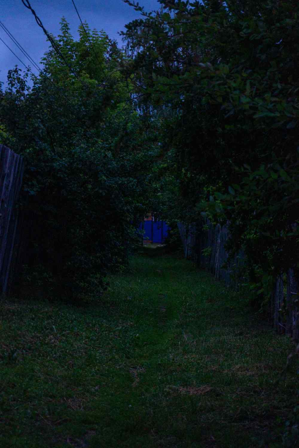 DSC07596_1751055836_95d156f798.jpg