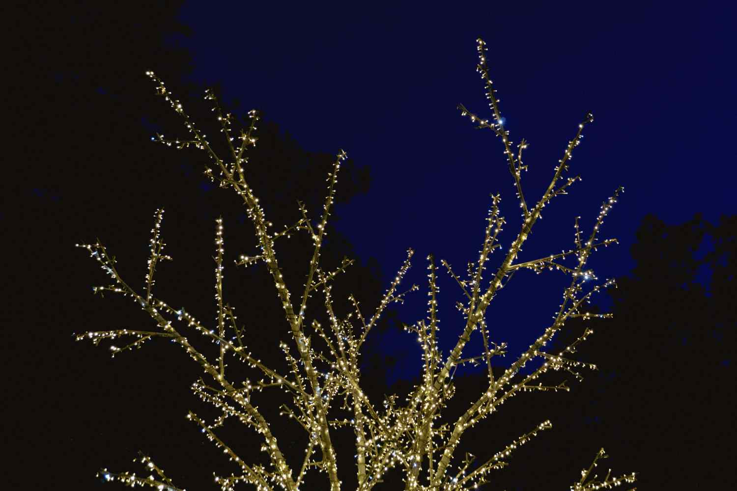 DSC07865_1753446670_d3b49aff75.jpg