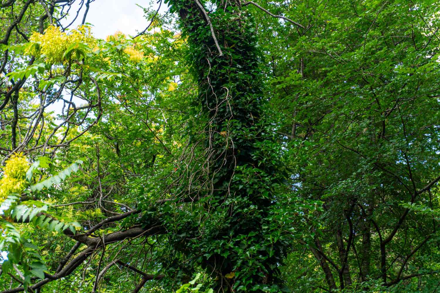 DSC07961_1753446883_f0a75d69d9.jpg