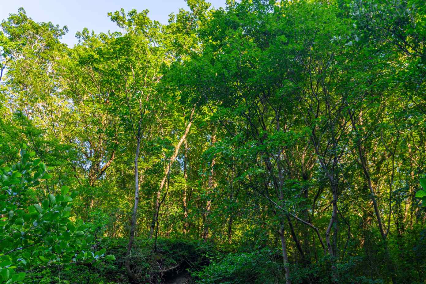 DSC08033_1753453341_b378c2c0a4.jpg