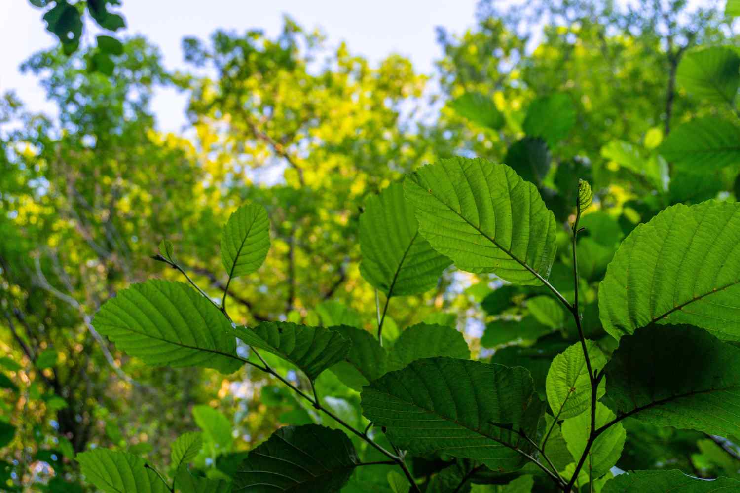 DSC08036_1753453344_4be0c534be.jpg