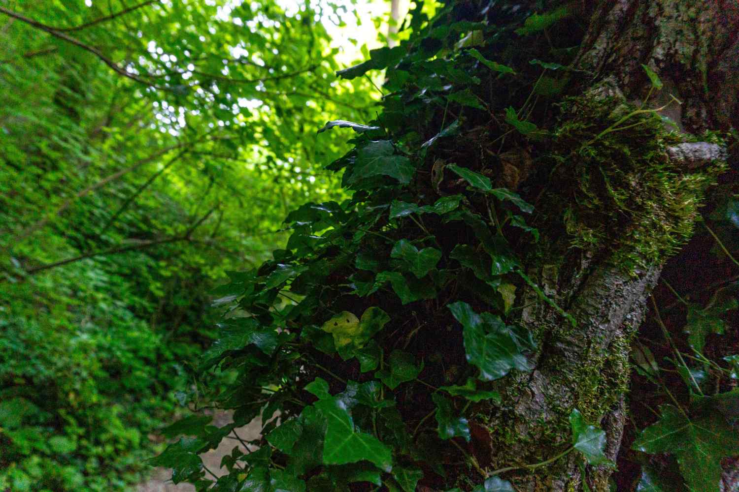 DSC08043_1753453331_aa6b5fcc48.jpg