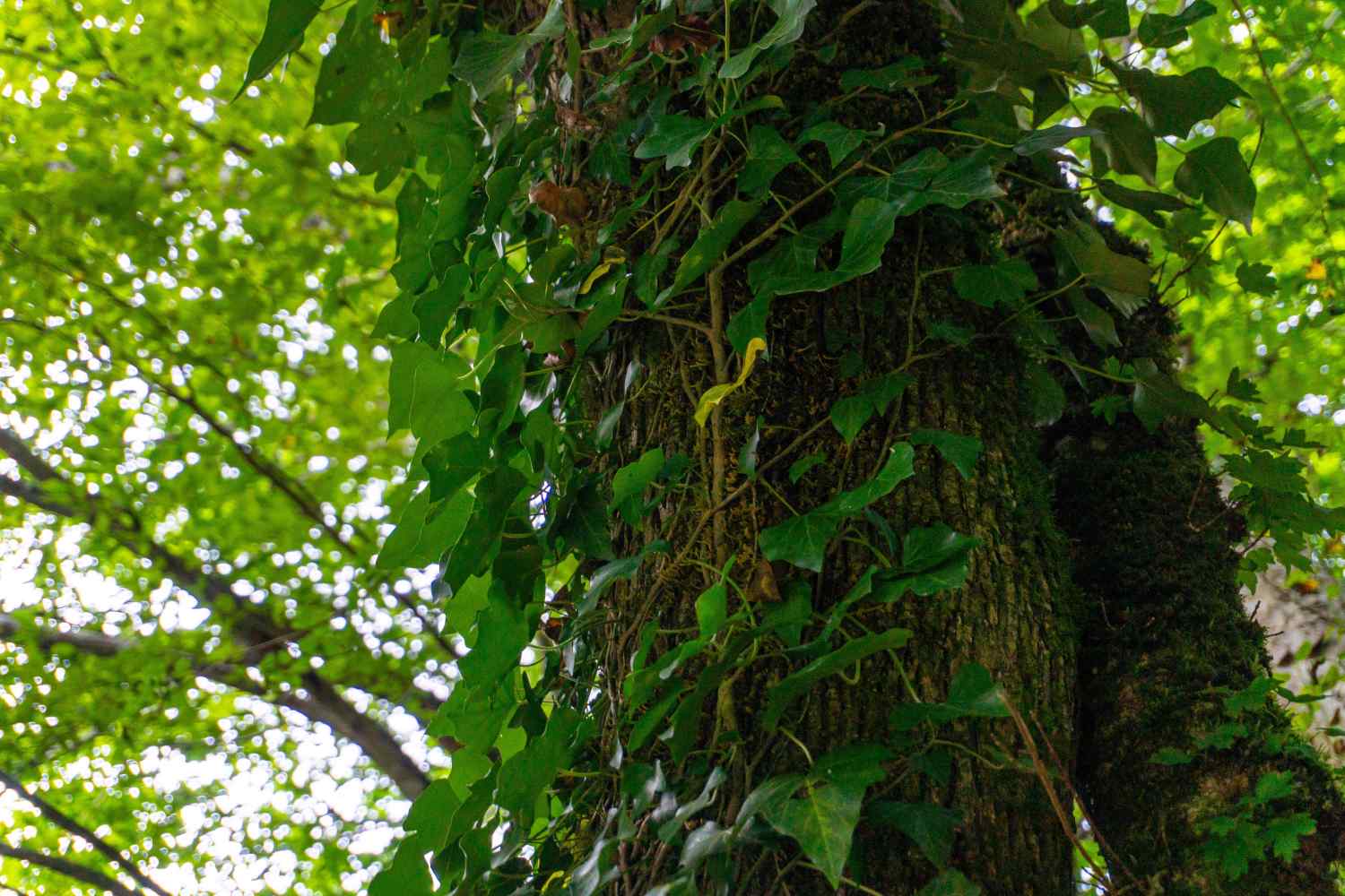 DSC08076_1753453389_4c4c12e4a2.jpg
