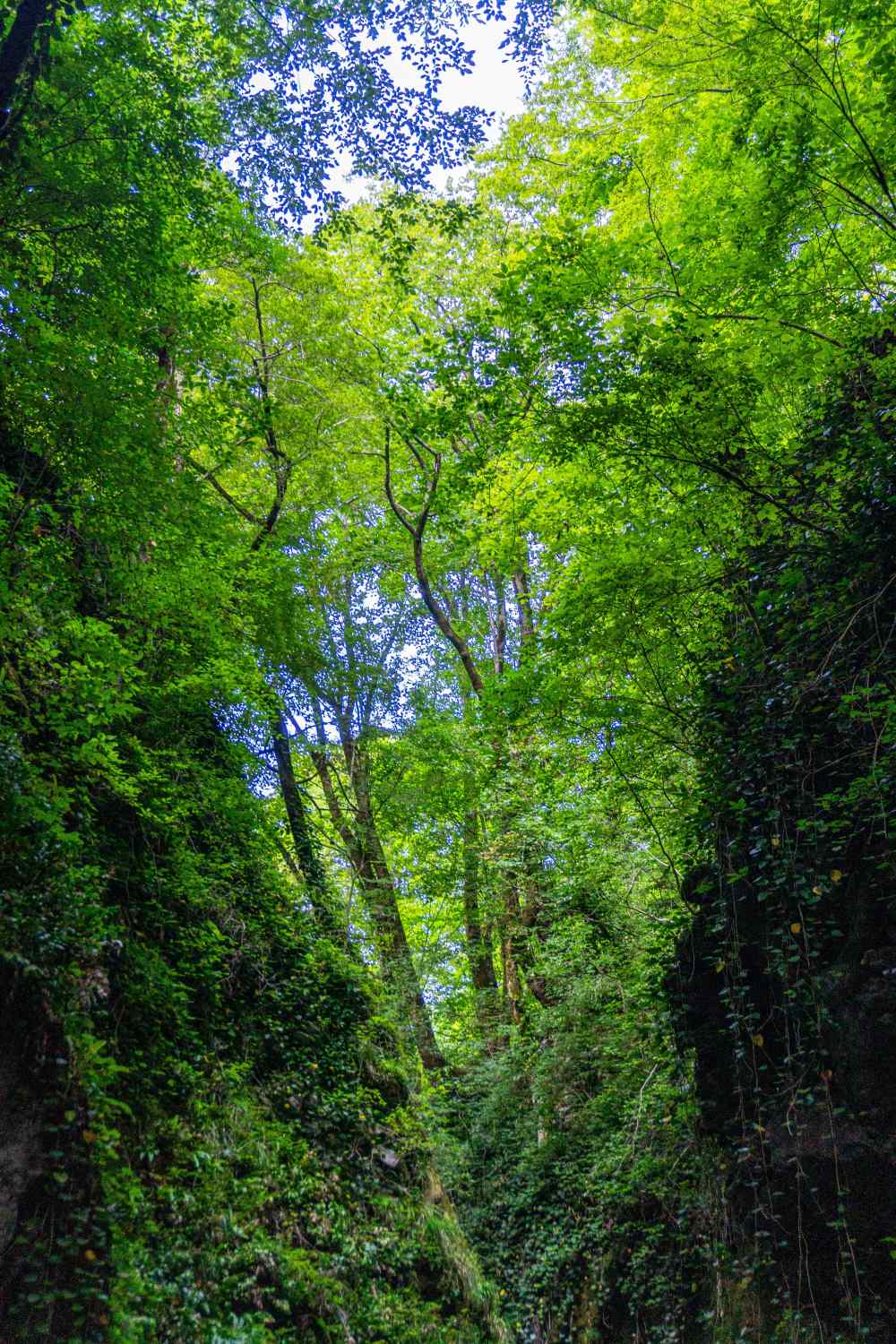 DSC08107_1753453446_adc0de1d4a.jpg