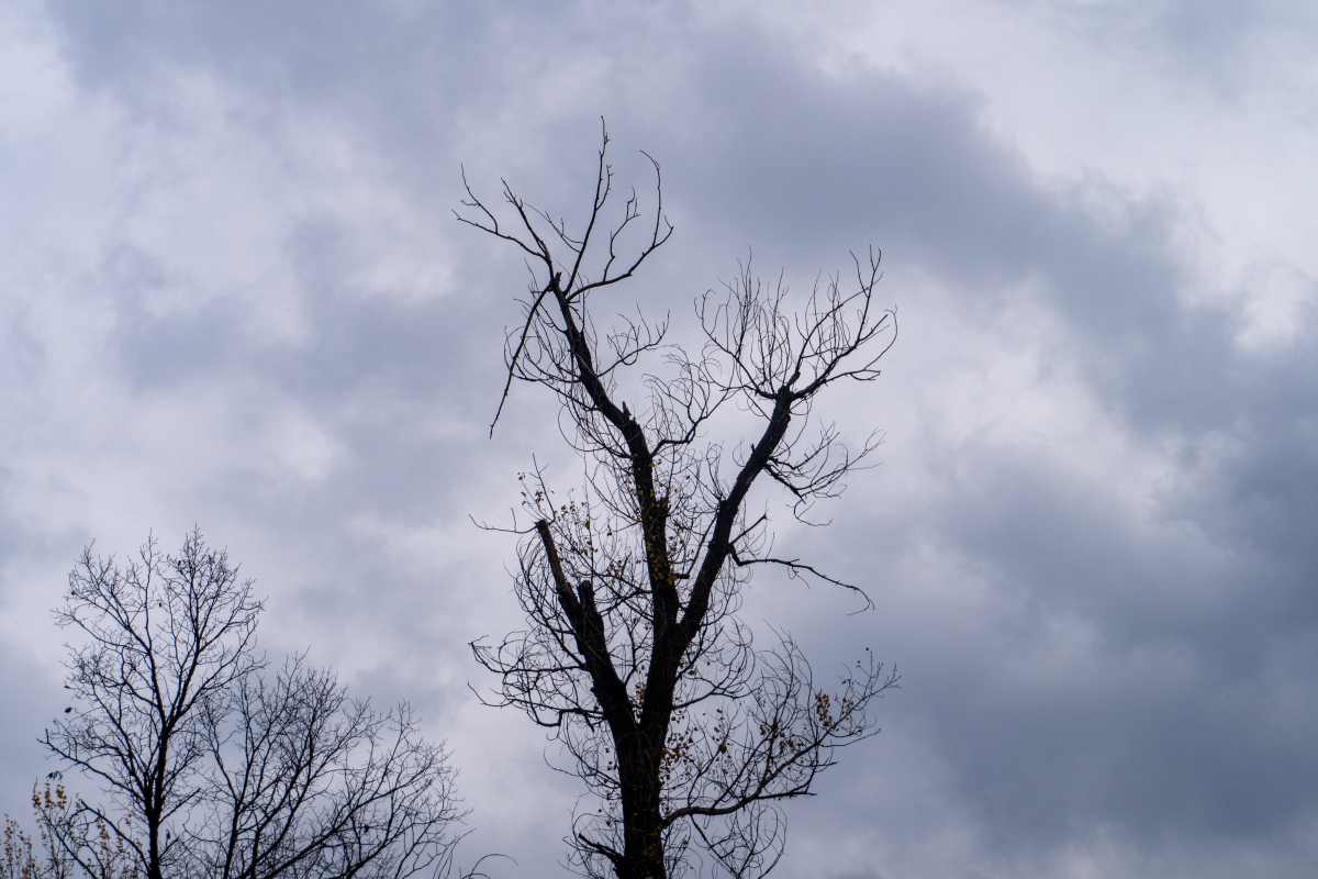 DSC09558_1760822792_097b0cee9a.jpg