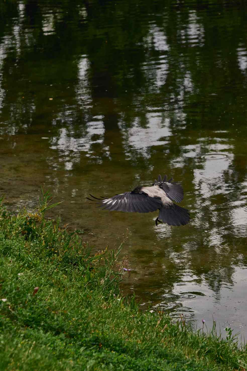 DSC_0054_1753378960_4e8c6aa8d6.jpg