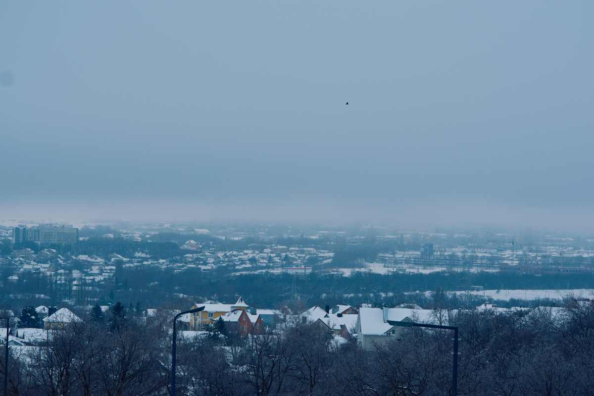 DSC_0104_1769969079_6696e3e06d.jpg