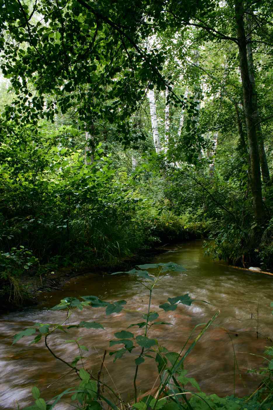 DSC_0152_1755502530_542ba7e2ce.jpg