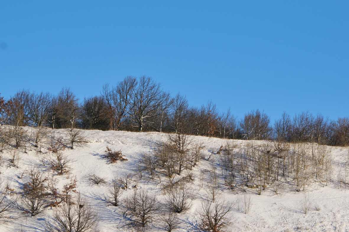 DSC_0158_1766652675_296f803218.jpg