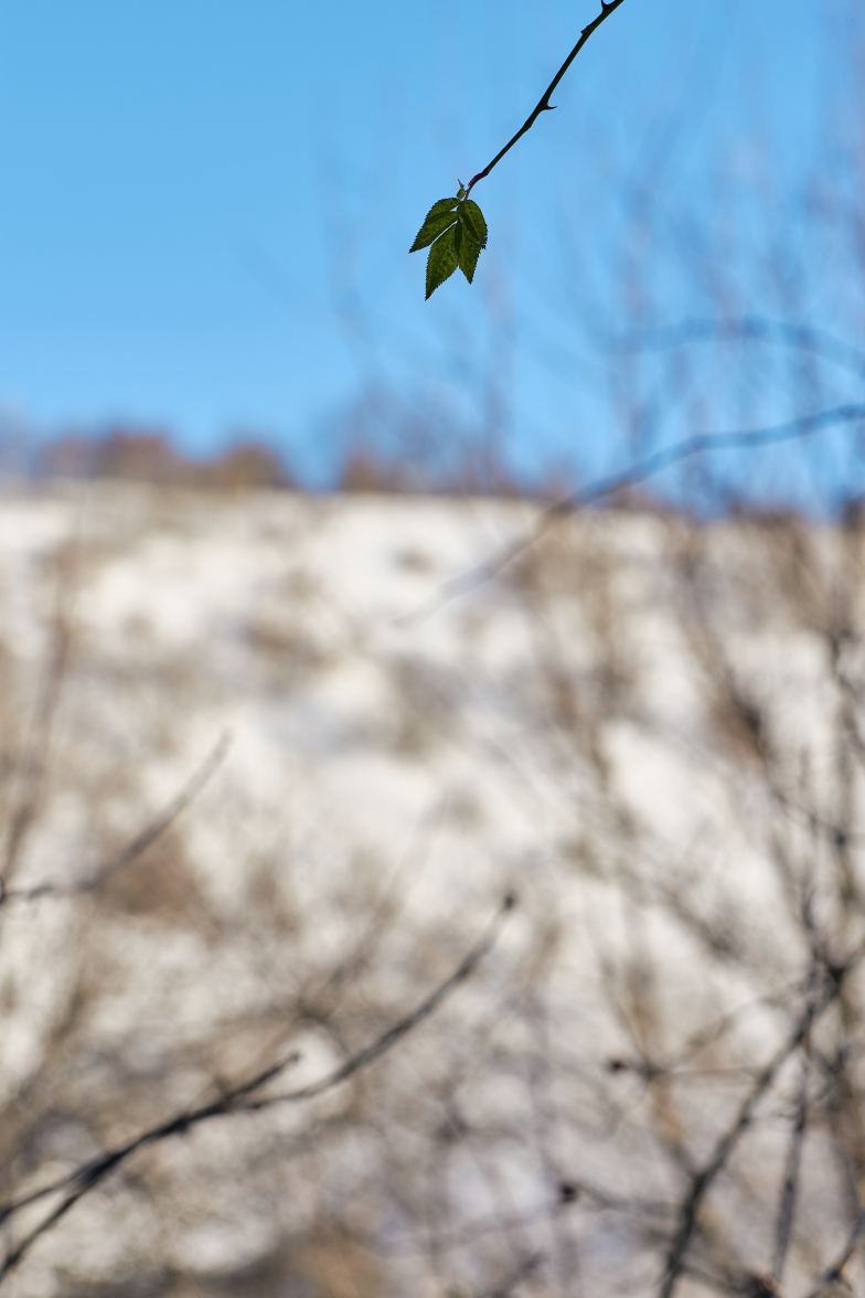 DSC_0163_1766652771_0a1a2c1da8.jpg