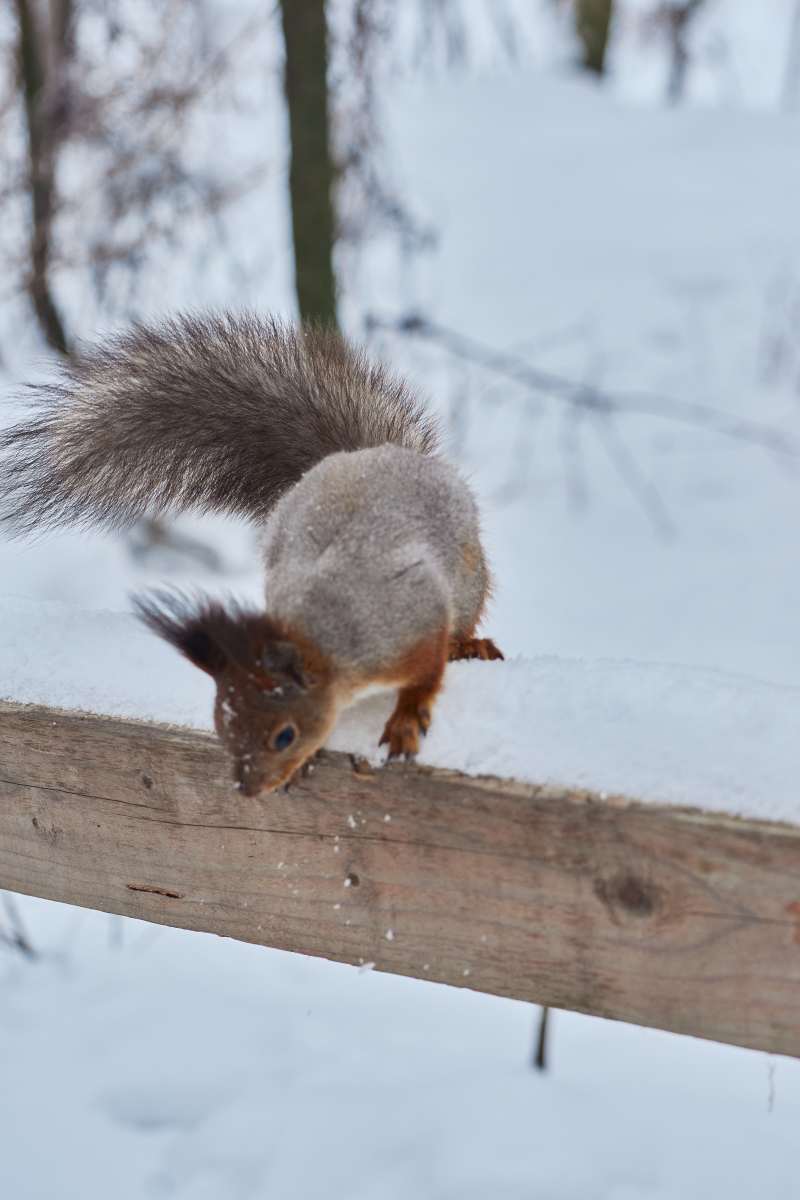 DSC_0167_1769969433_f0d942af99.jpg