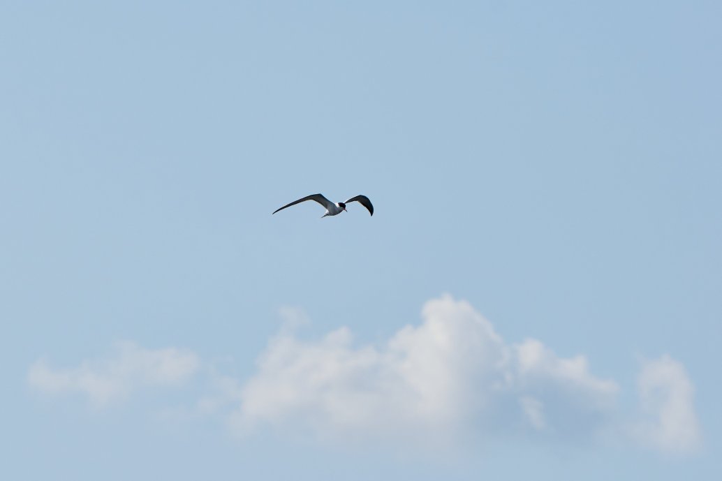 DSC_0177_1754056305_33329bd517.jpg