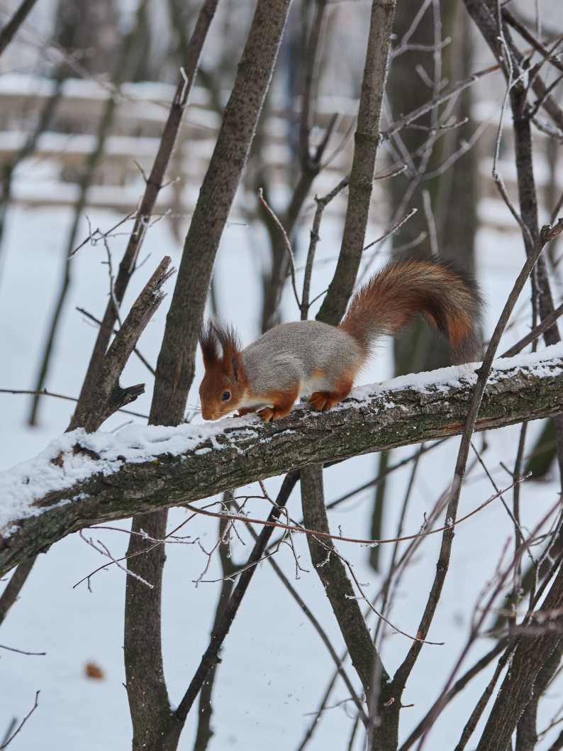 DSC_0190_1769969542_f18acce96d.jpg