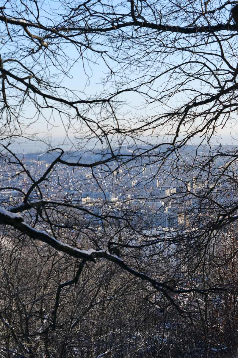 DSC_0205_1766653409_c1b200c5c0.jpg