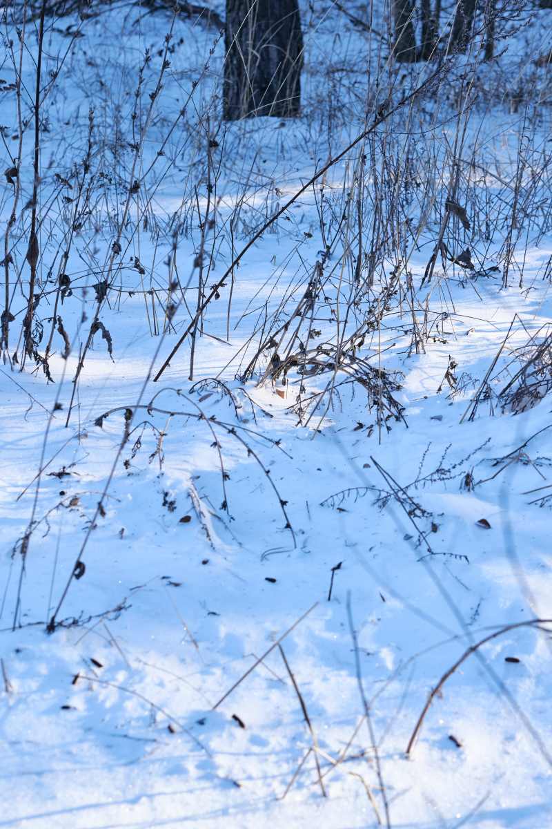 DSC_0271_1766654792_8488491ea7.jpg