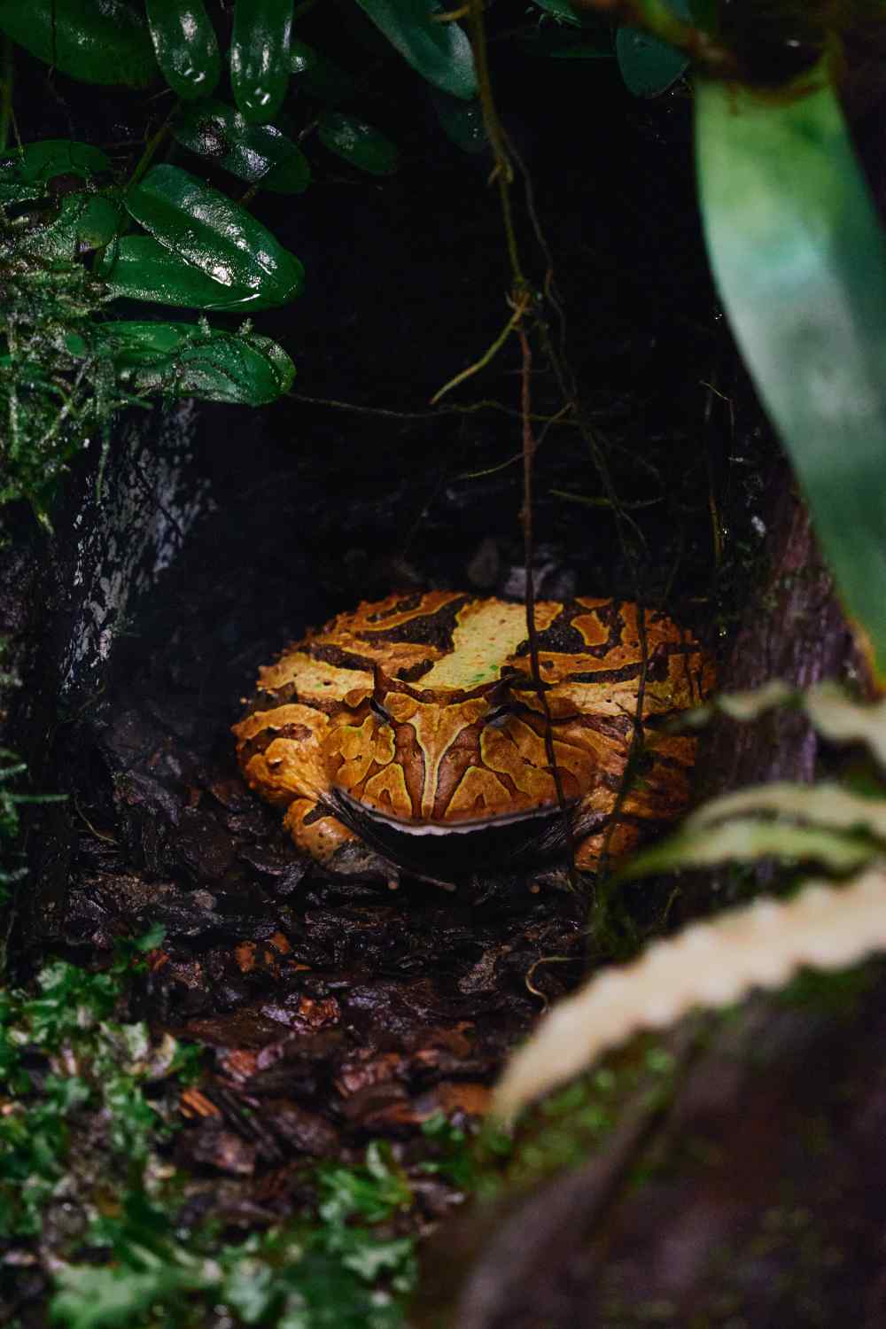 DSC_0393_1755605235_dd2305cc82.jpg