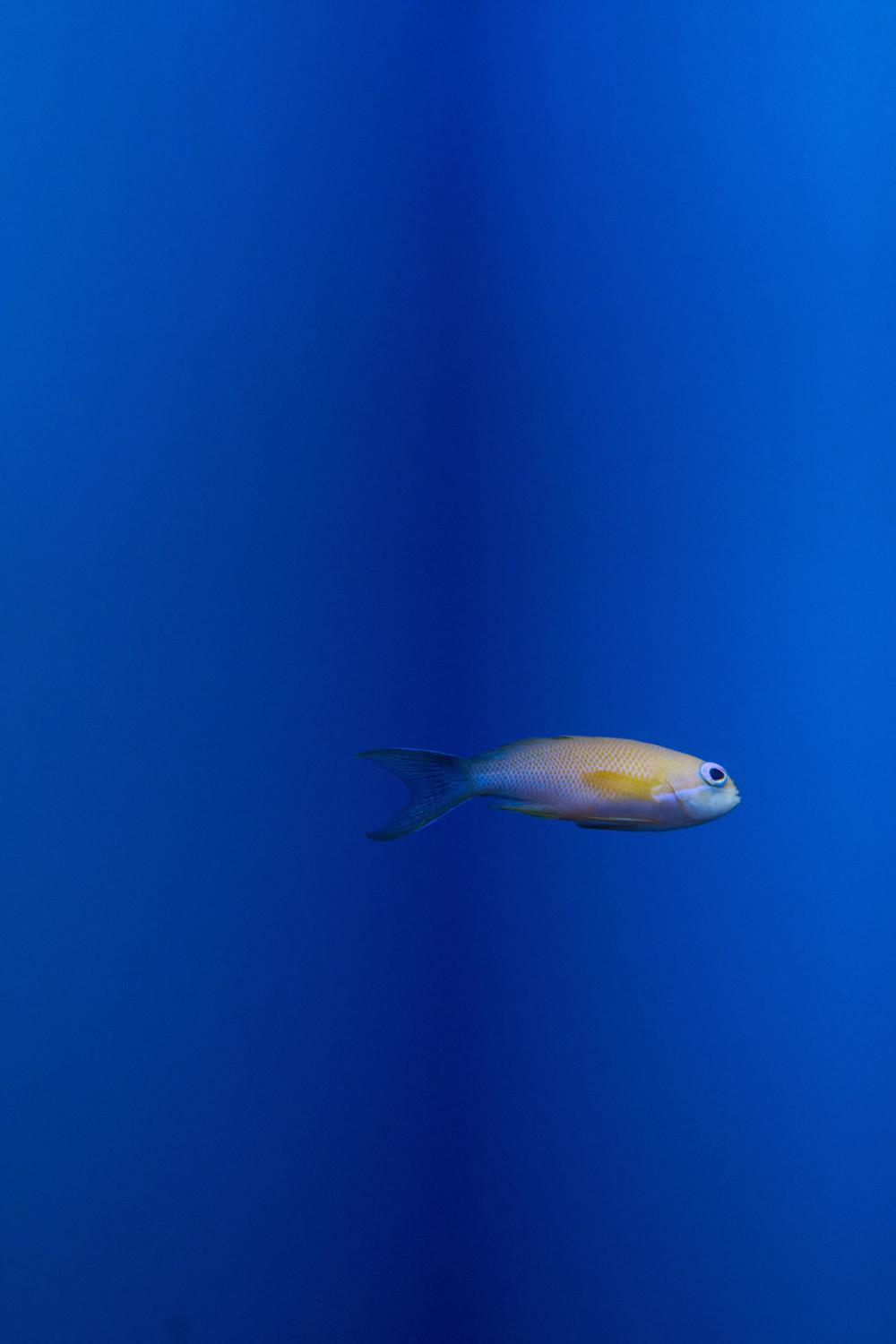 DSC_0398_1755605337_315c7371e0.jpg