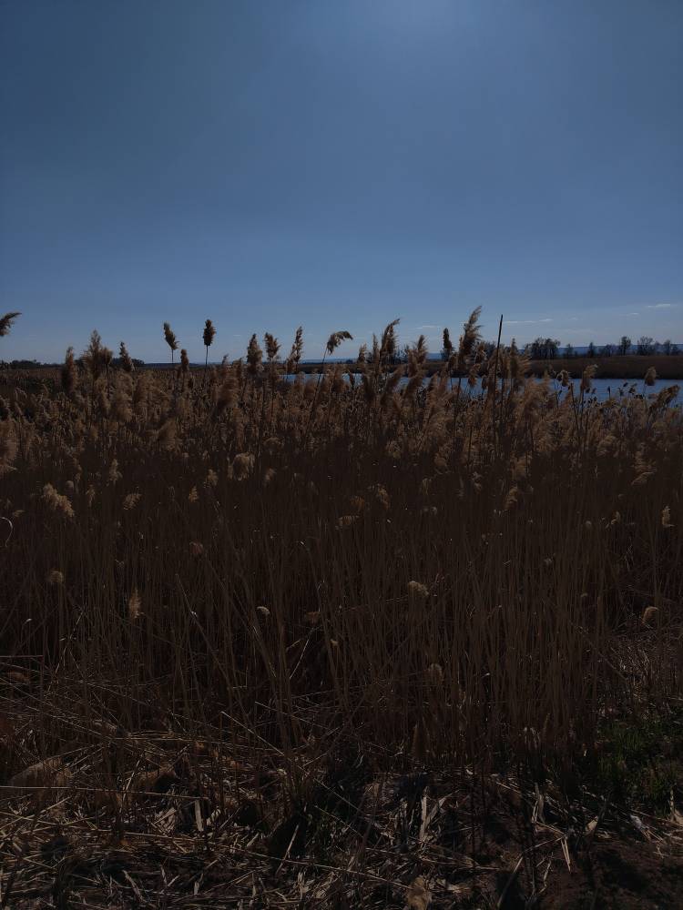 Фото пользователя