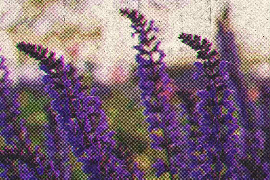 colorful_vibe_6_1749626703_6ab255611f.jpg