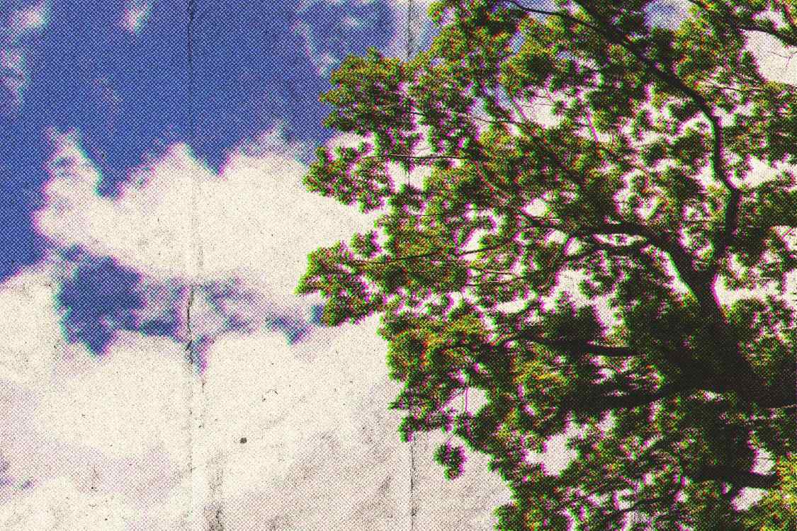 colorful_vibe_7_1749626705_7d7b389c48.jpg